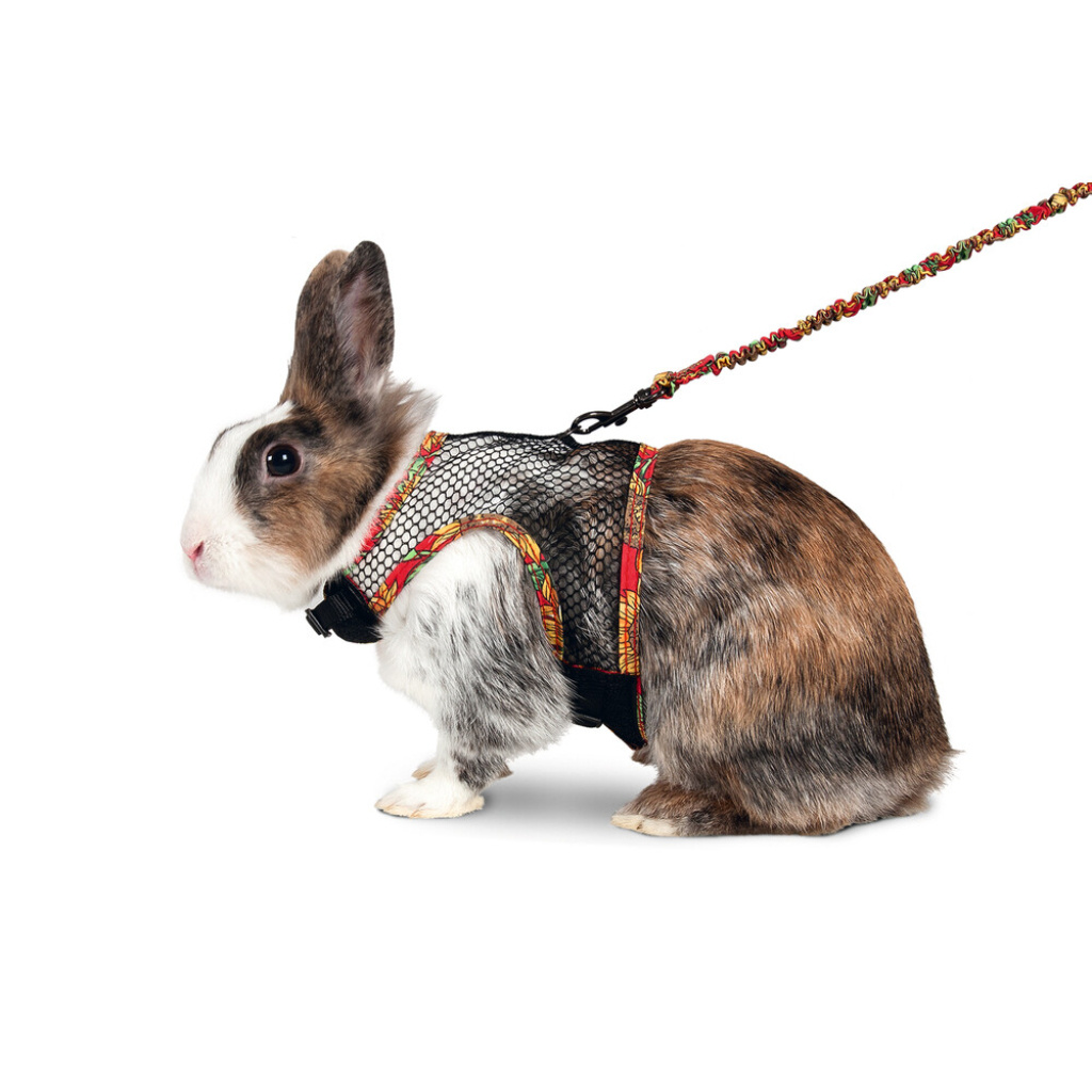 Karlie Tavşan Göğüs Tasması