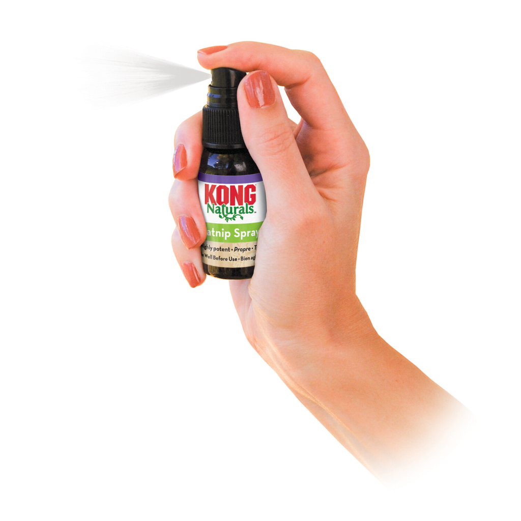 Kong Naturals Catnip Kedi Spreyi 30ml
