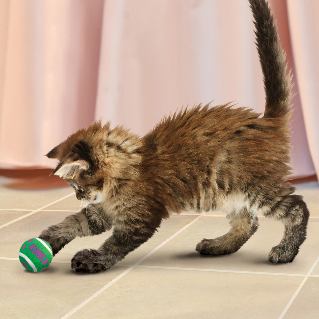 Kong Active Zilli Top Tenis Kedi Oyuncağı 3,5cm (3'lü)