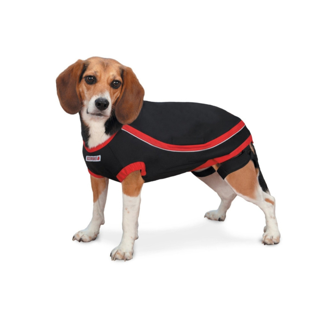 Kong Anksiyete Giderici Köpek Elbisesi 25,4cm [XS]