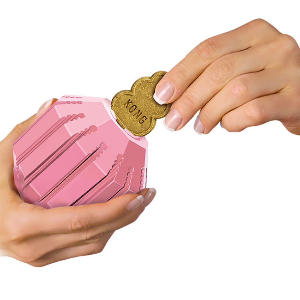 Kong Puppy Activity Yavru Köpek Ödül Oyuncağı (Karışık Renkli) [M]