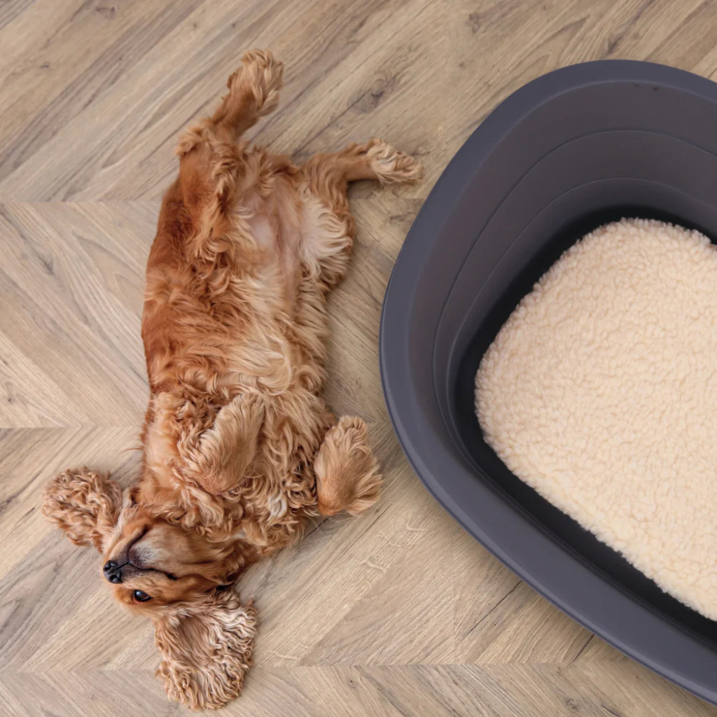 M-Pets Java Plastik Köpek Yatağı 100x72cm [XL]