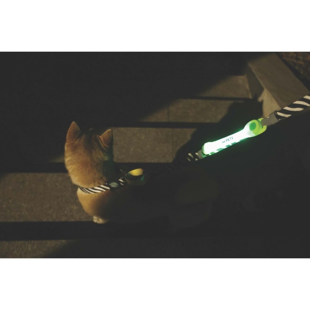M-Pets Flash Led Köpek Kayış Bandı 3,7x18,5cm (Yeşil)