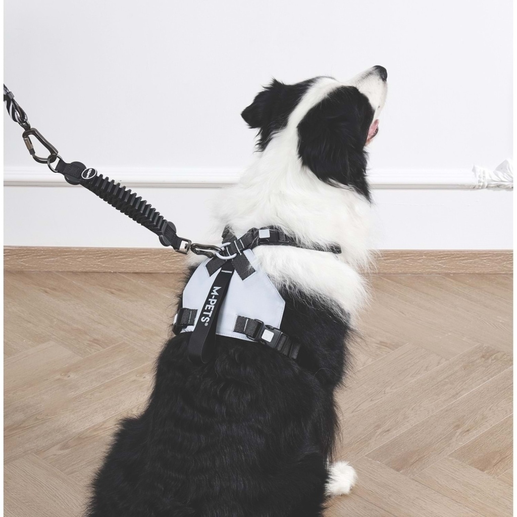 M-Pets Pull Power Köpekler İçin Şok Emici Ara Tasma 25cm (Siyah)