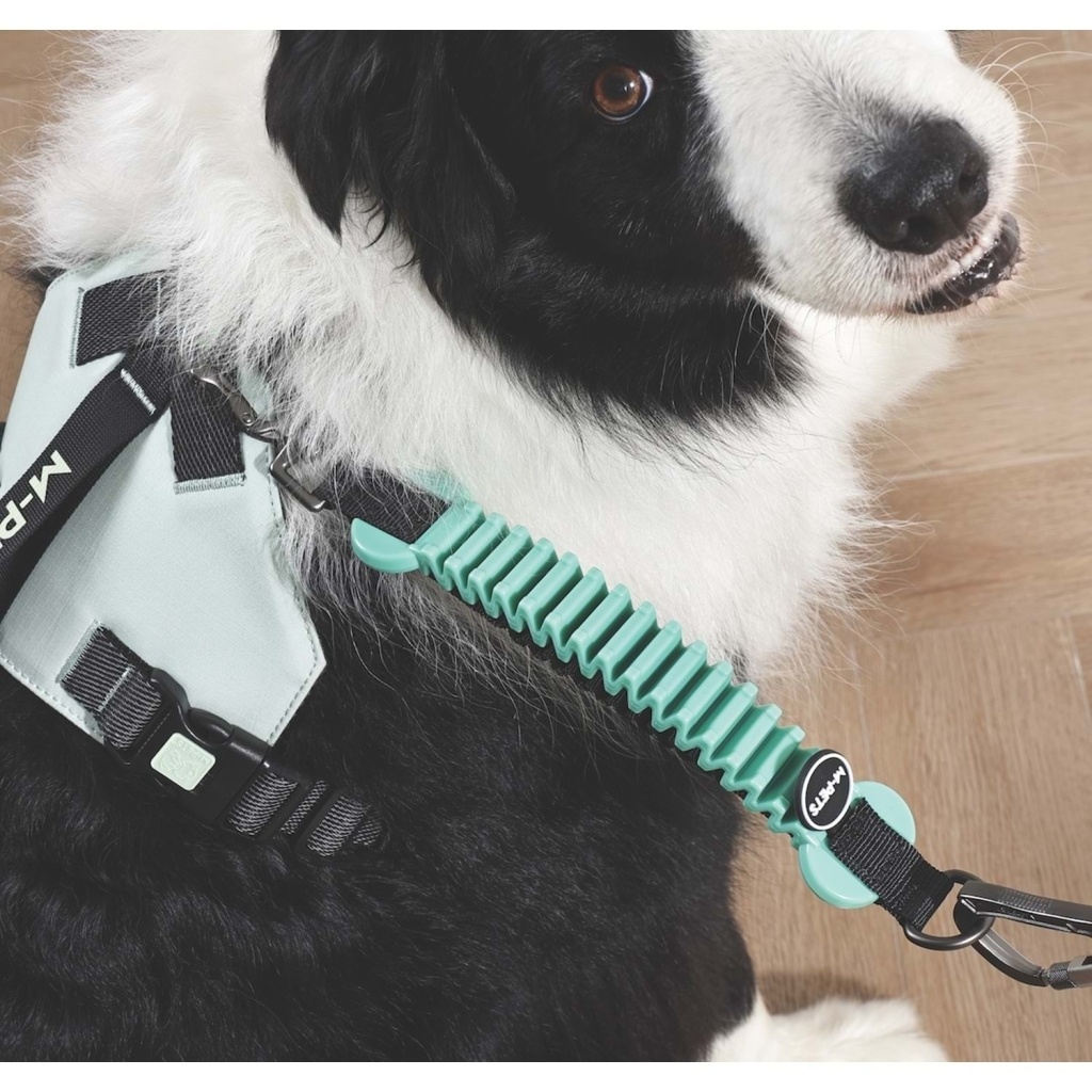 M-Pets Pull Power Köpekler İçin Şok Emici Ara Tasma 25cm (Yeşil)