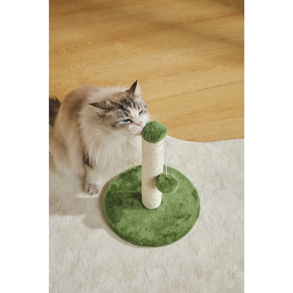 M-Pets My First Ponponlu Kedi Tırmalama Tahtası 24x24x30cm (Yeşil)