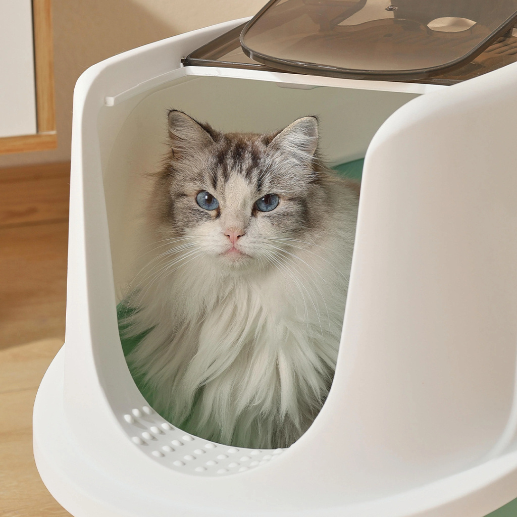 M-Pets Eco Tima Kapalı Kedi Tuvaleti 60x45x42,5cm (Yeşil) [L]
