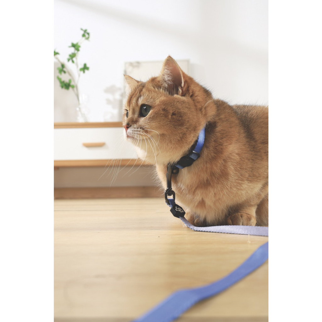 M-Pets Gentle Kedi Boyun Tasması 20-30cm (Mavi)