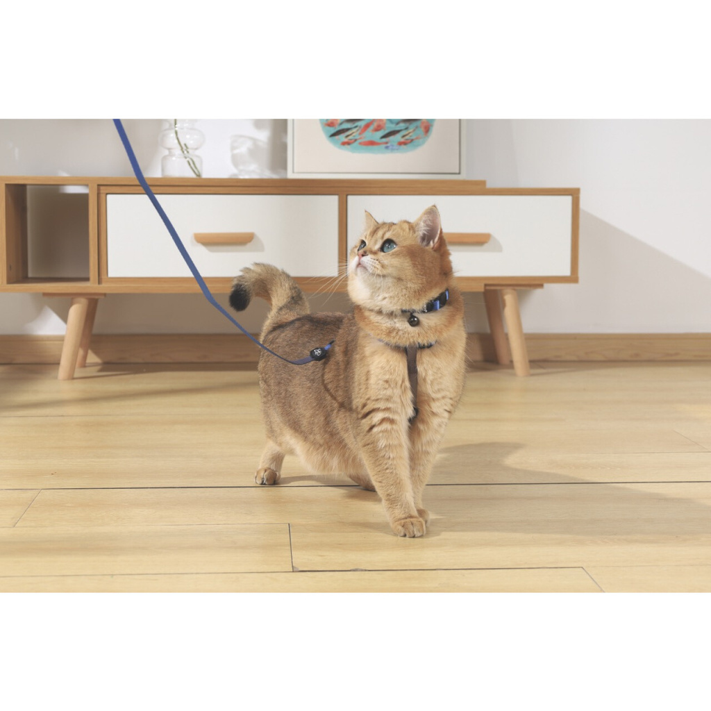 M-Pets Gentle Kedi Boyun Tasması 20-30cm (Mavi)