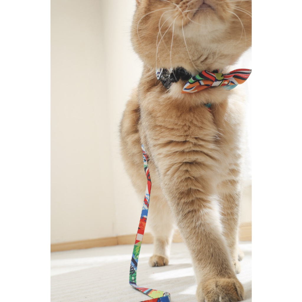 M-Pets Urban Style Kedi ve Köpekler için Papyon [L]