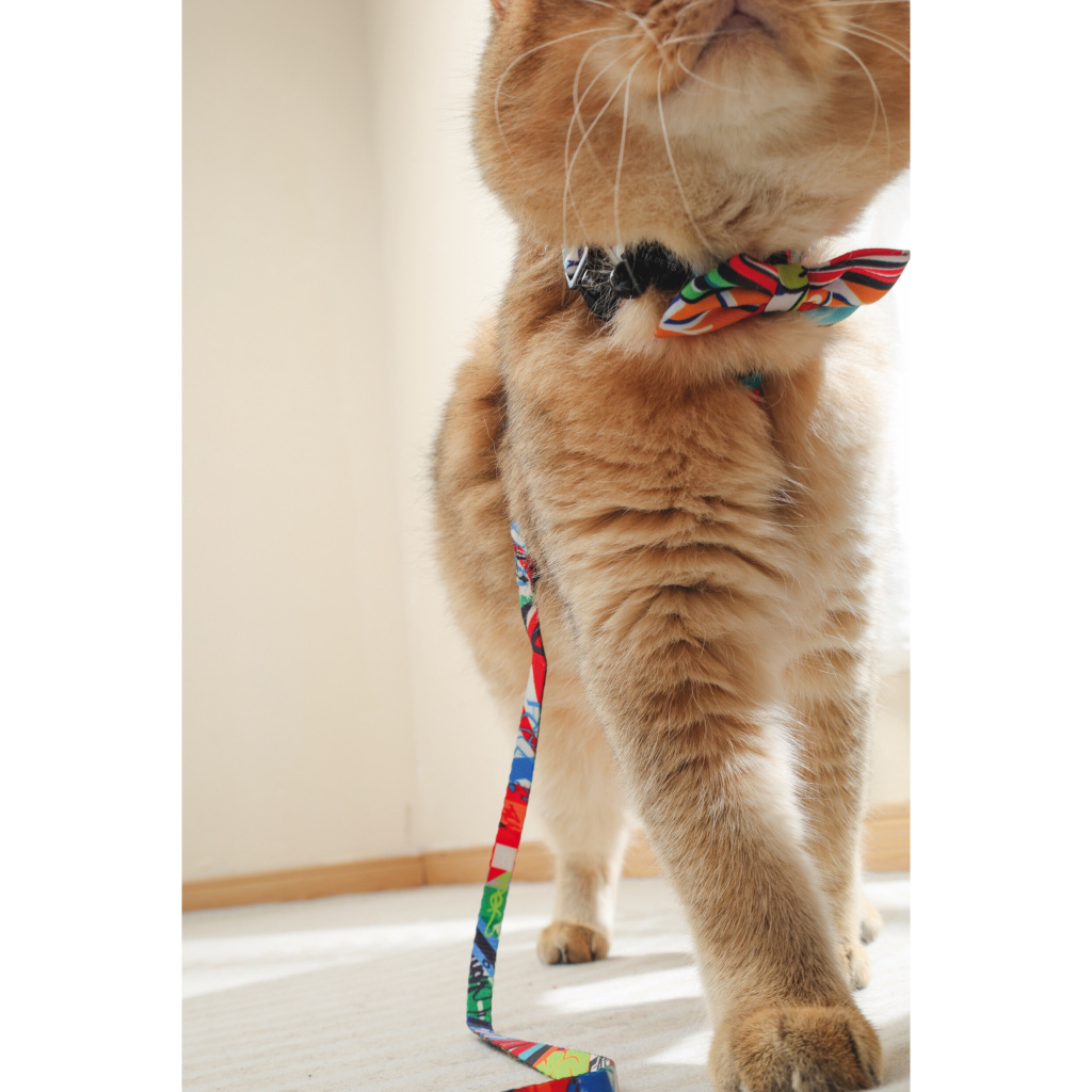 M-Pets Urban Style Kedi ve Köpekler için Papyon [M]