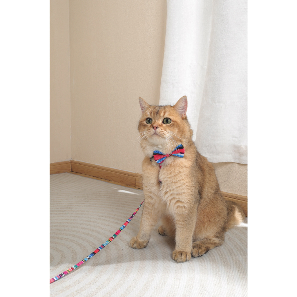 M-Pets Urban Style Kedi ve Köpekler için Papyon [XS - S]