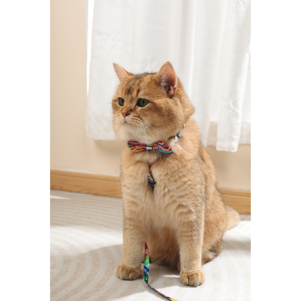 M-Pets Urban Style Kedi ve Köpekler için Papyon  [XS-S]