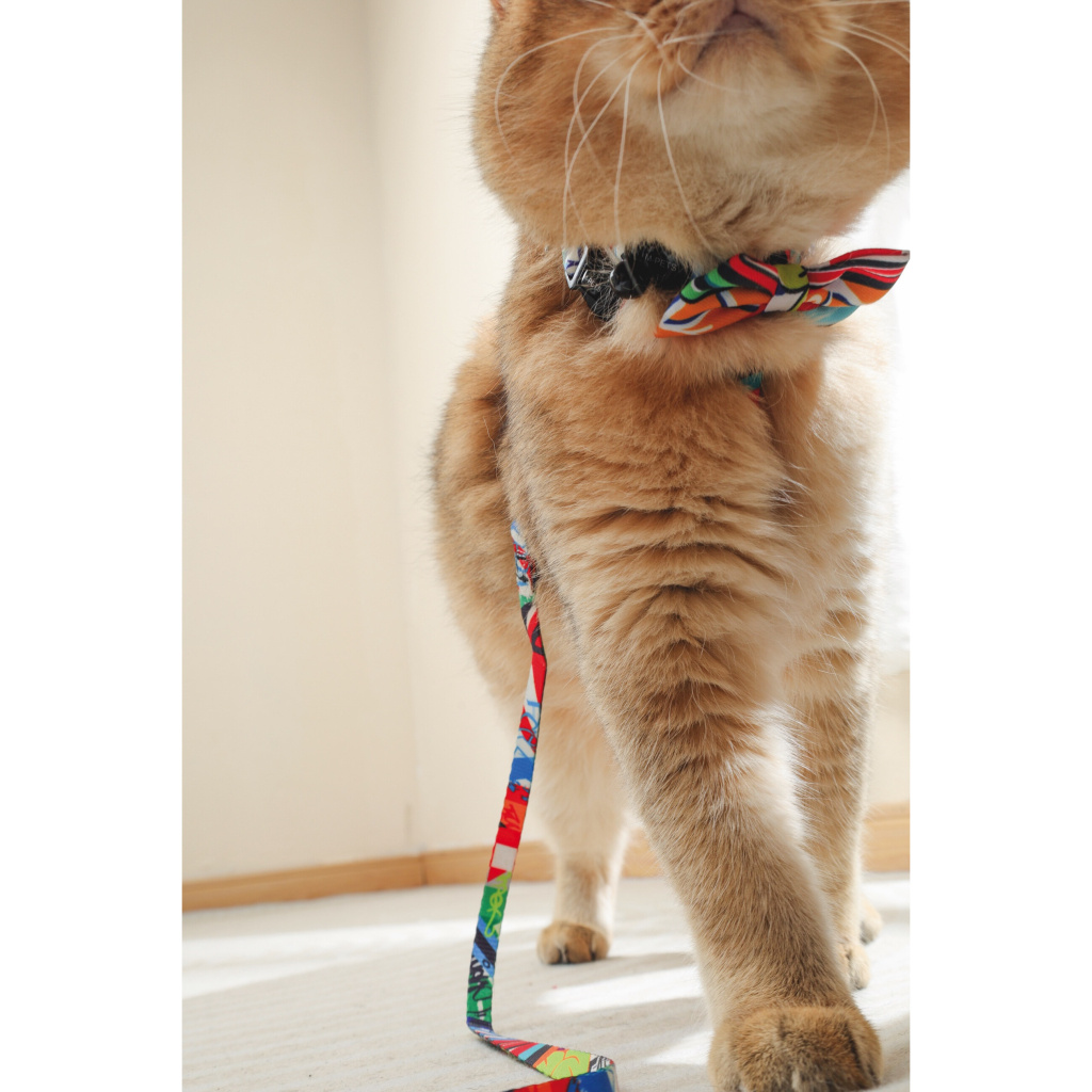 M-Pets Urban Style Kedi ve Köpekler için Papyon  [XS-S]