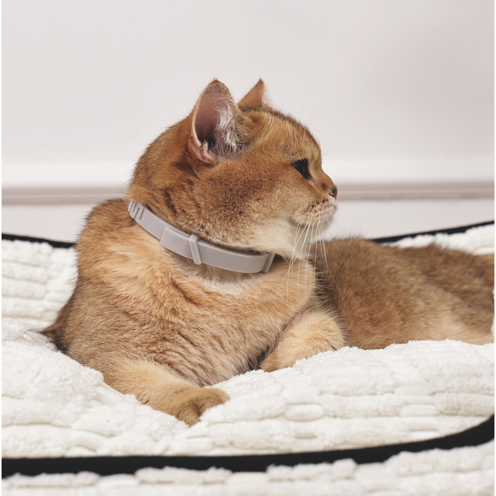 M-Pets Keep Calm Feromon Kedi Boyun Tasması 38cm (Gri)