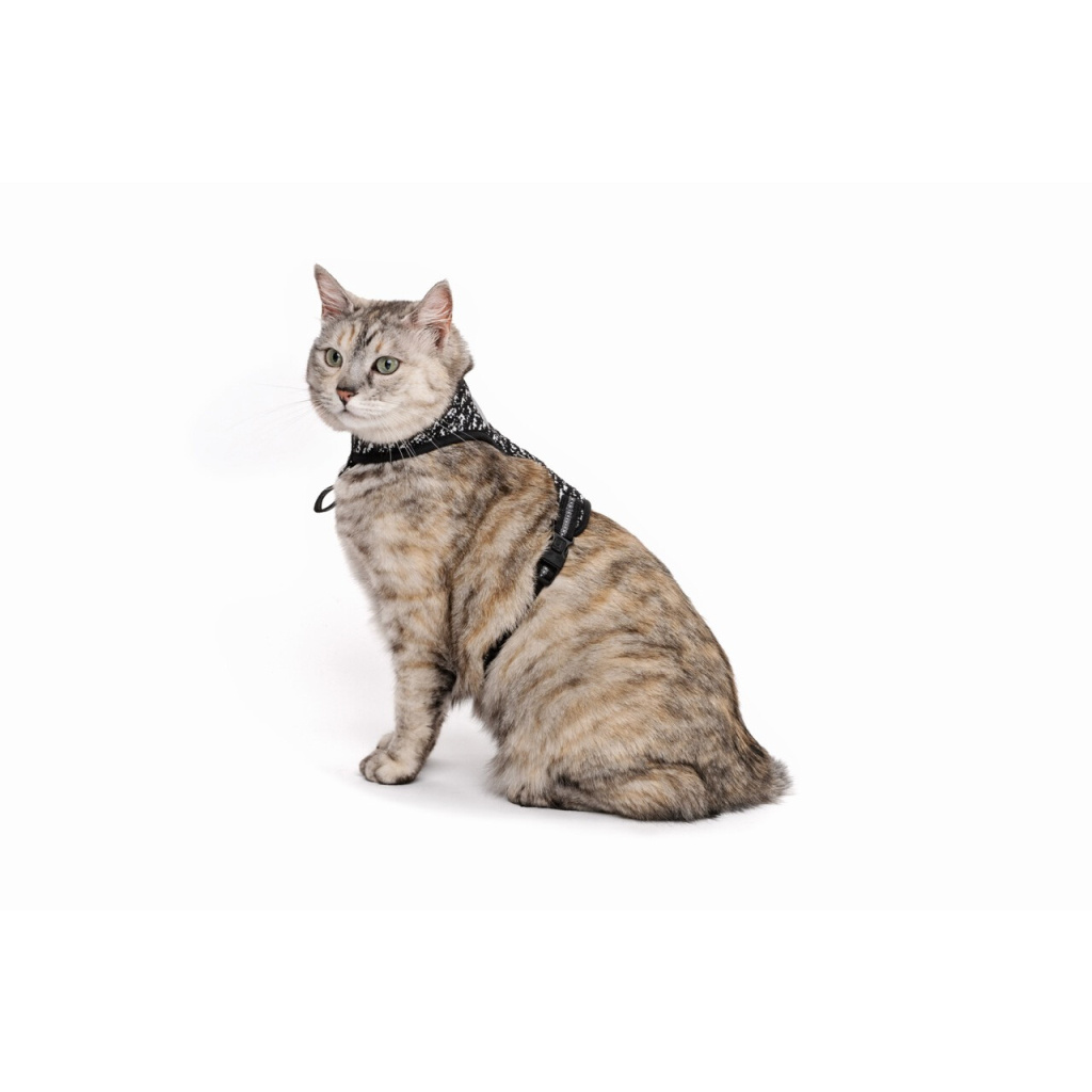 M-Pets Letsgo Kedi Göğüs Tasması Seti 30-42cm