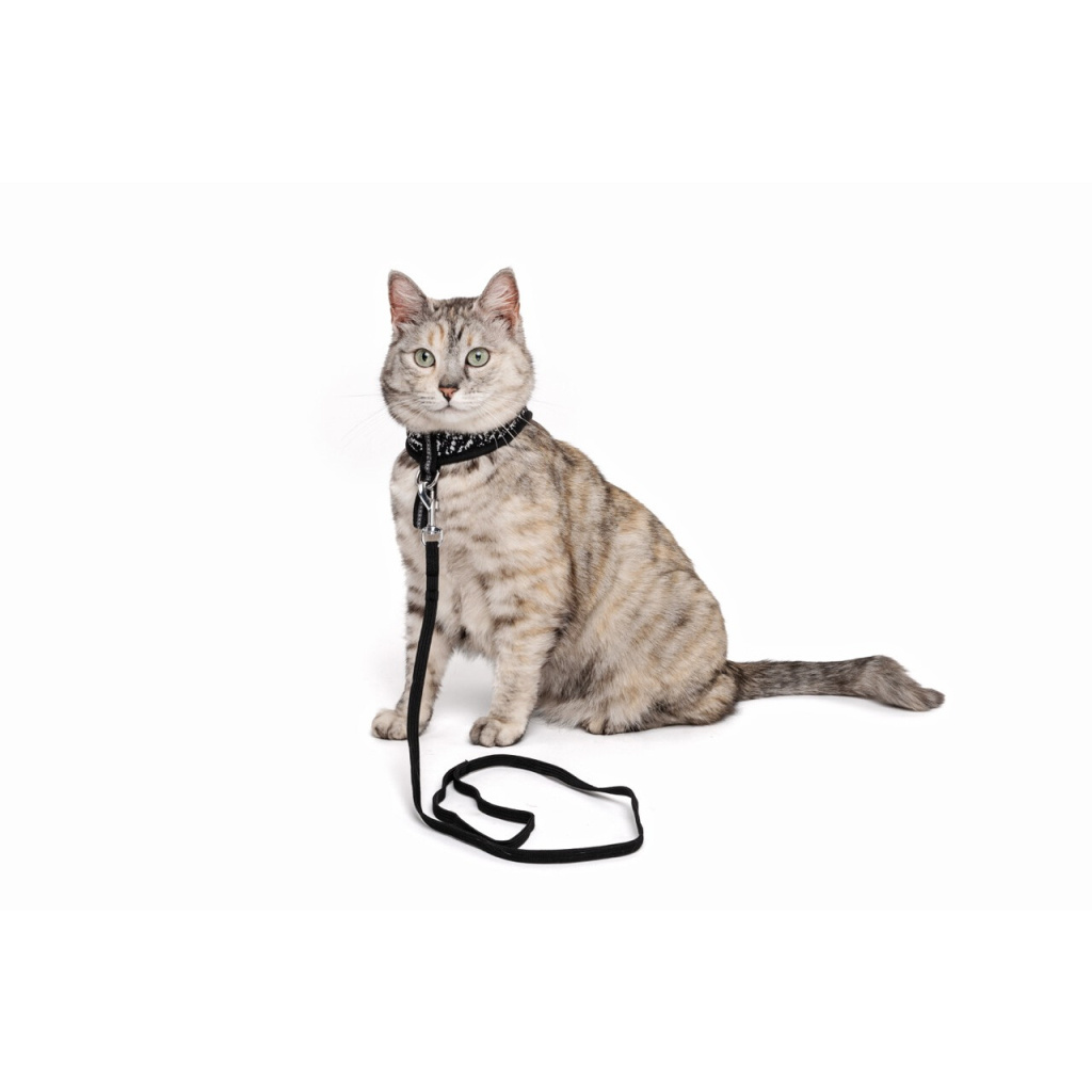 M-Pets Letsgo Kedi Göğüs Tasması Seti 30-42cm