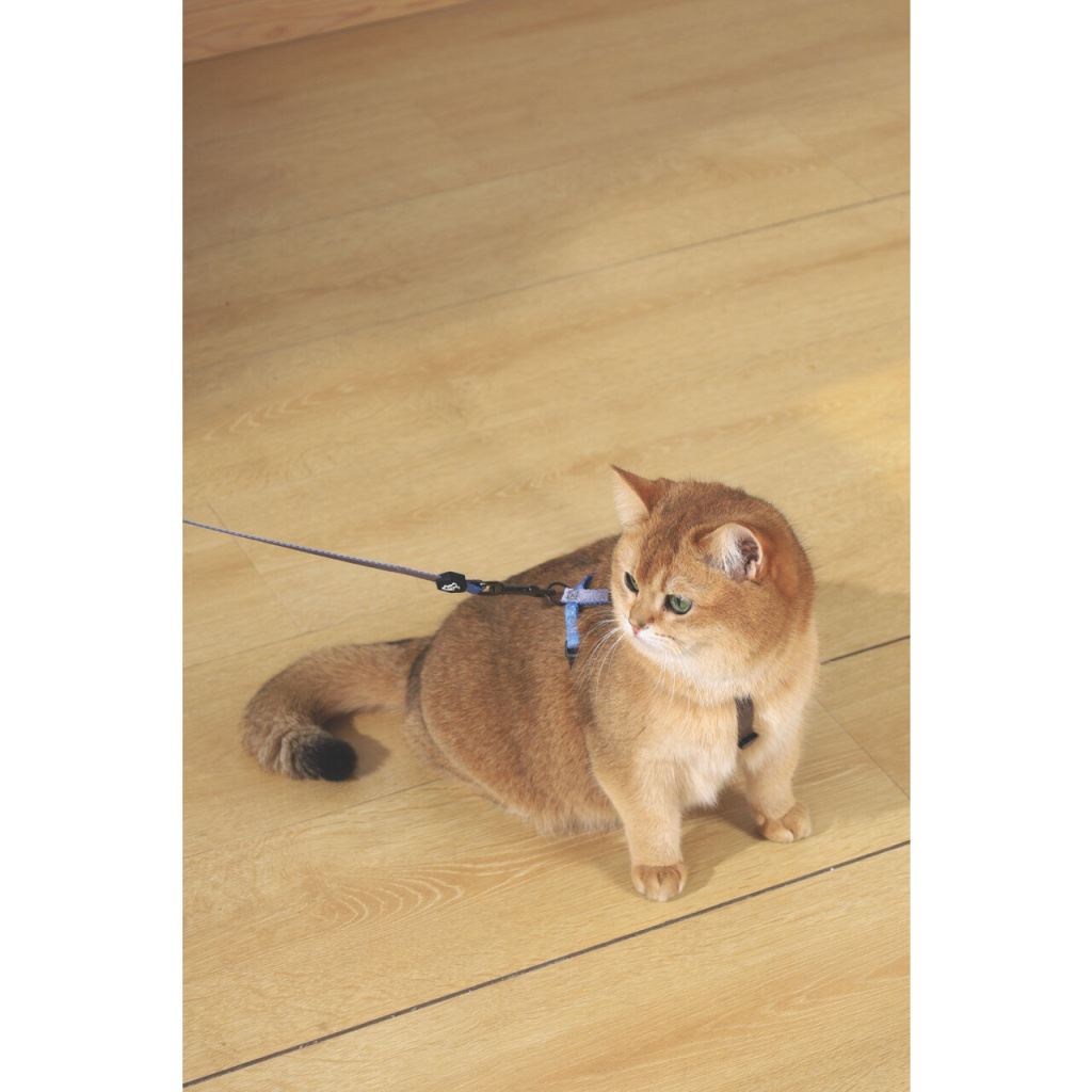 M-Pets Gentle Kedi Göğüs Tasması Seti 120cm (Mavi)