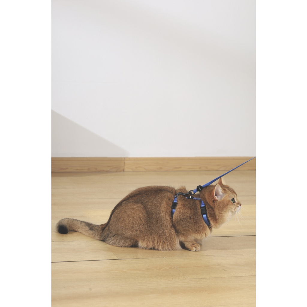 M-Pets Gentle Kedi Göğüs Tasması Seti 120cm (Mavi)