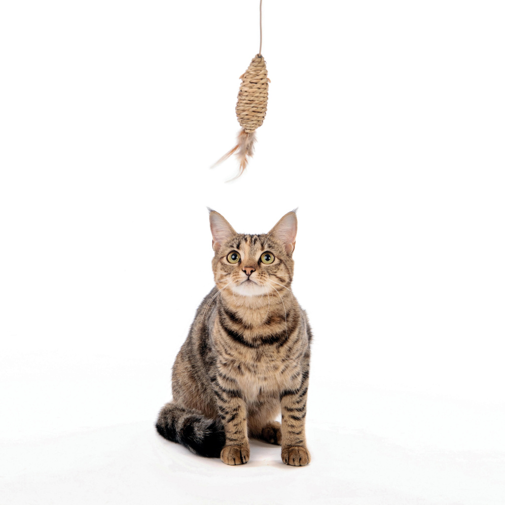 M-Pets Natura Olta Kedi Oyuncağı 35cm