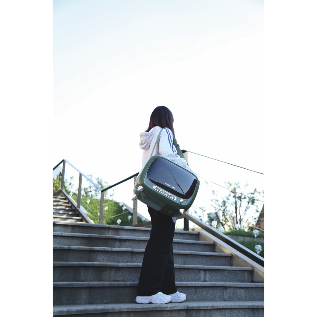 M-Pets Sixties Televizyon Şeklinde Kedi Taşıma Çantası 44,7x26,6x38,4cm (Yeşil)