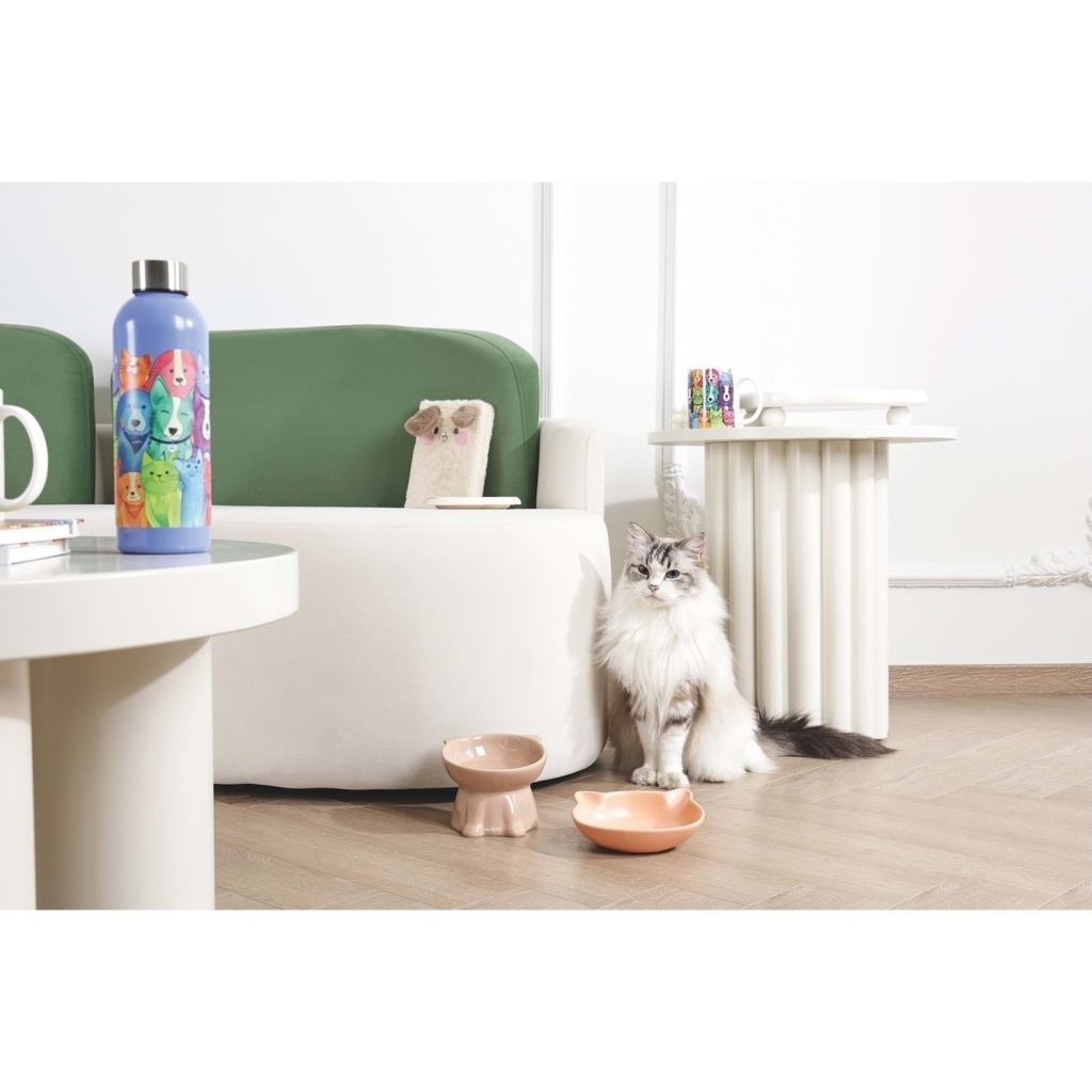 M-Pets Petjoy Mao Miao Seramik Mama Kabı 200ml