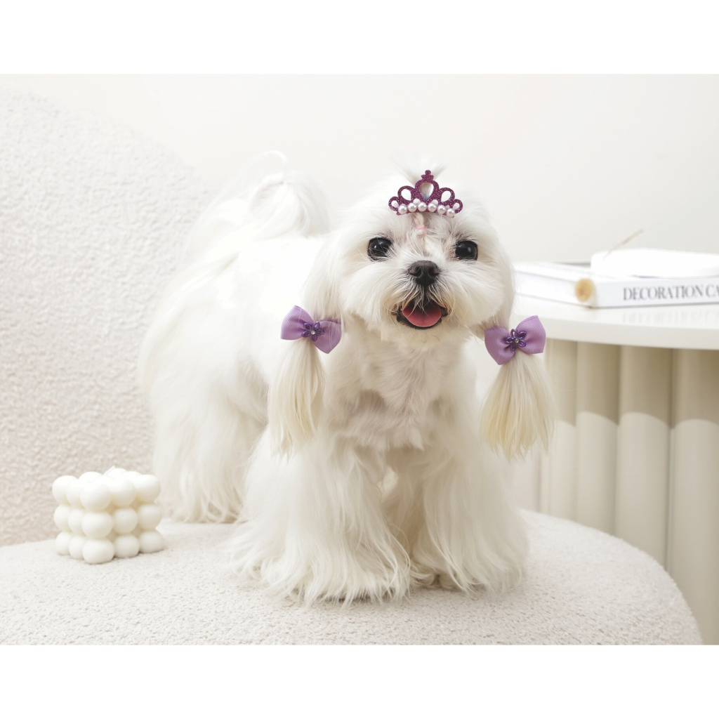 M-Pets Glam Köpekler İçin Toka (Mor)