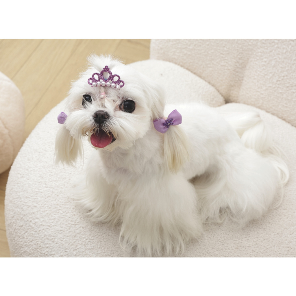 M-Pets Glam Köpekler İçin Toka (Mor)