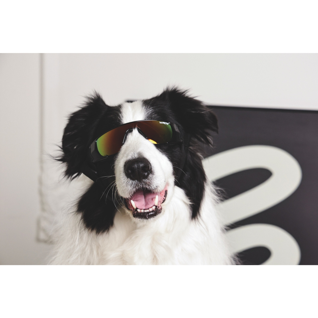 M-Pets Sunny Sunbather Köpek Gözlüğü 15,2x4,9cm (Siyah)