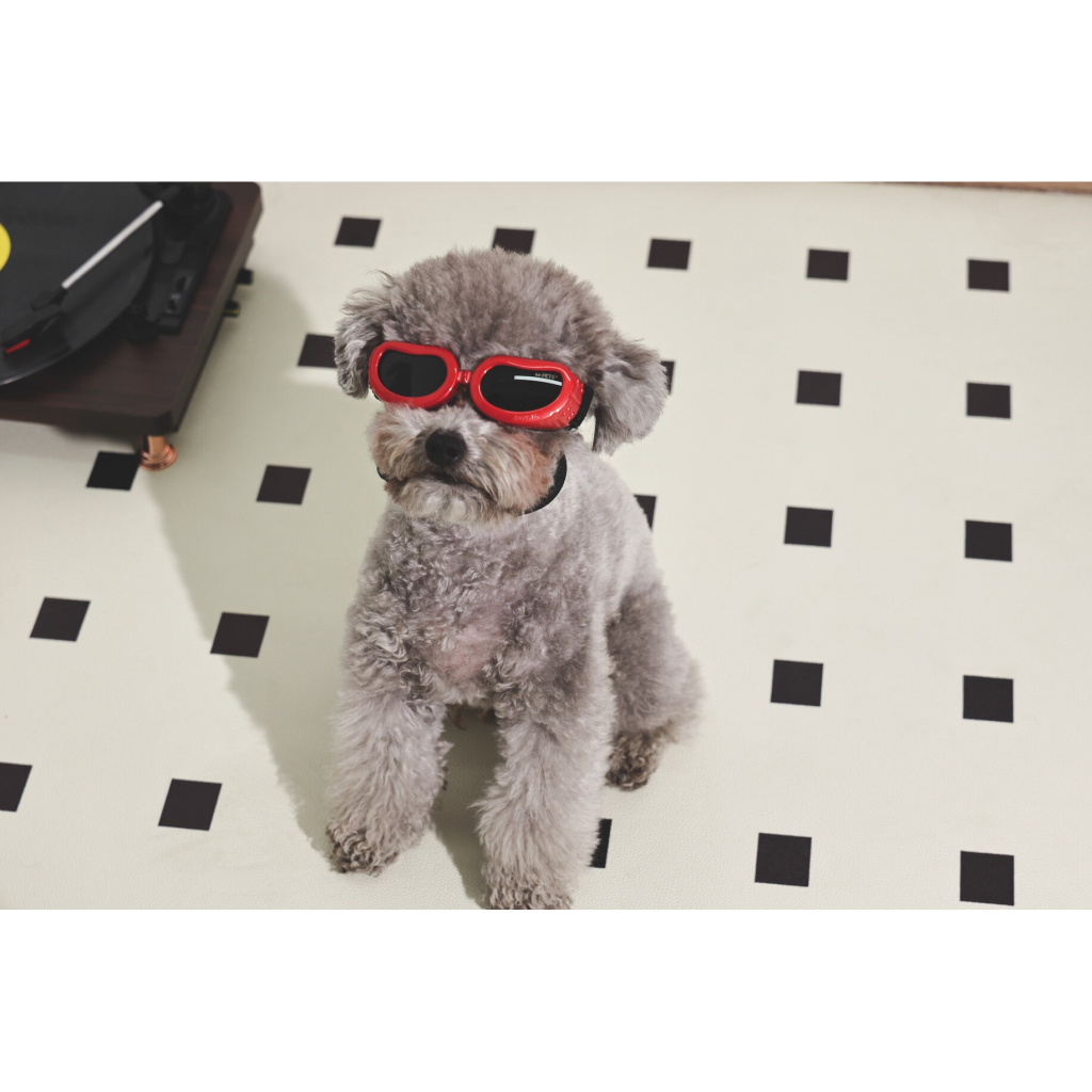 M-Pets Sunny Daytrip Köpek Gözlüğü 15,2x4,9cm (Kırmızı)