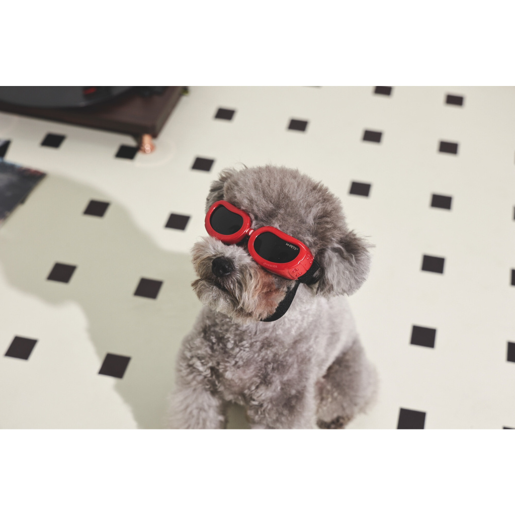 M-Pets Sunny Daytrip Köpek Gözlüğü 15,2x4,9cm (Kırmızı)