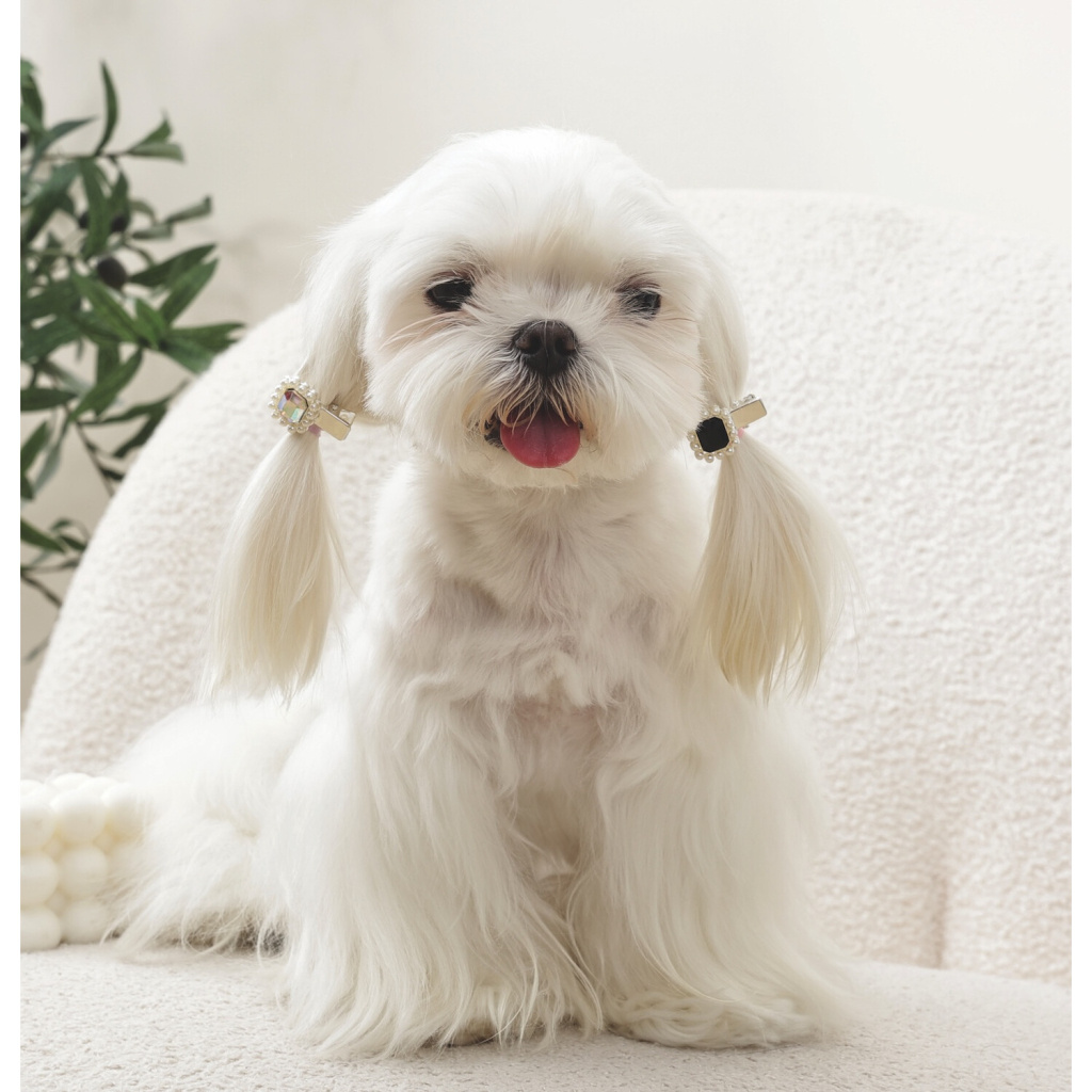 M-Pets Glam İncili Kedi ve Köpekler için Toka (Siyah - Gri)