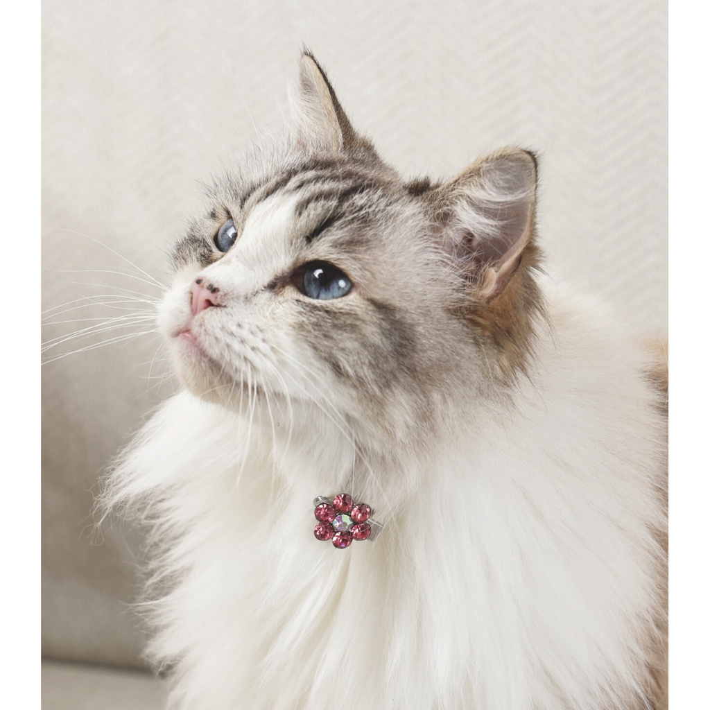 M-Pets Glam Çiçekli Kedi ve Köpekler için Toka (Pembe - Beyaz)