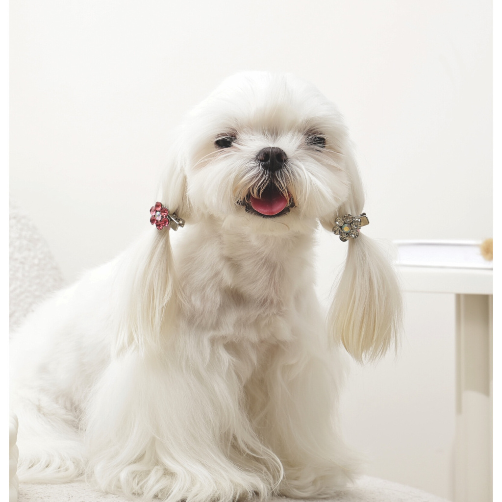 M-Pets Glam Çiçekli Kedi ve Köpekler için Toka (Pembe - Beyaz)