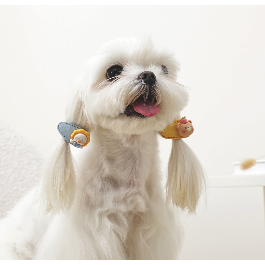 M-Pets Glam Figürlü Kedi ve Köpekler için Toka (Sarı)