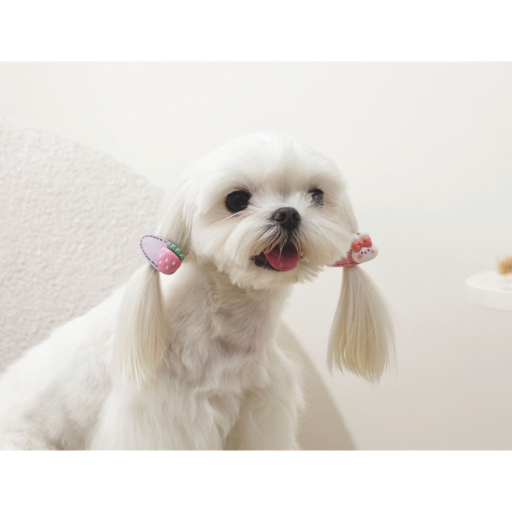 M-Pets Glam Figürlü Kedi ve Köpekler için Toka (Pembe)