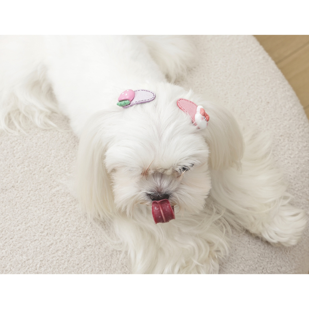 M-Pets Glam Figürlü Kedi ve Köpekler için Toka (Pembe)