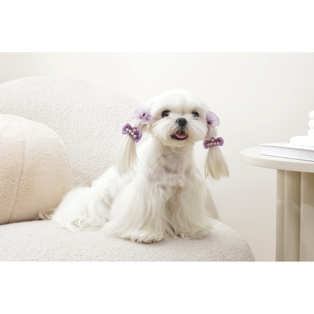 M-Pets Glam Fiyonklu Kedi ve Köpekler için Toka (4'lü) (Mor)