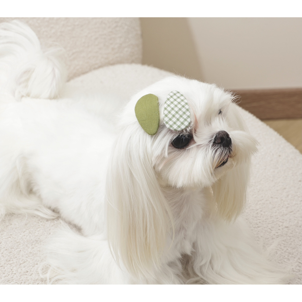 M-Pets Glam Desenli Kedi ve Köpekler için Toka (Yeşil)