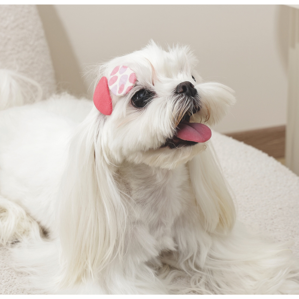 M-Pets Glam Desenli Kedi ve Köpekler için Toka (Kırmızı)