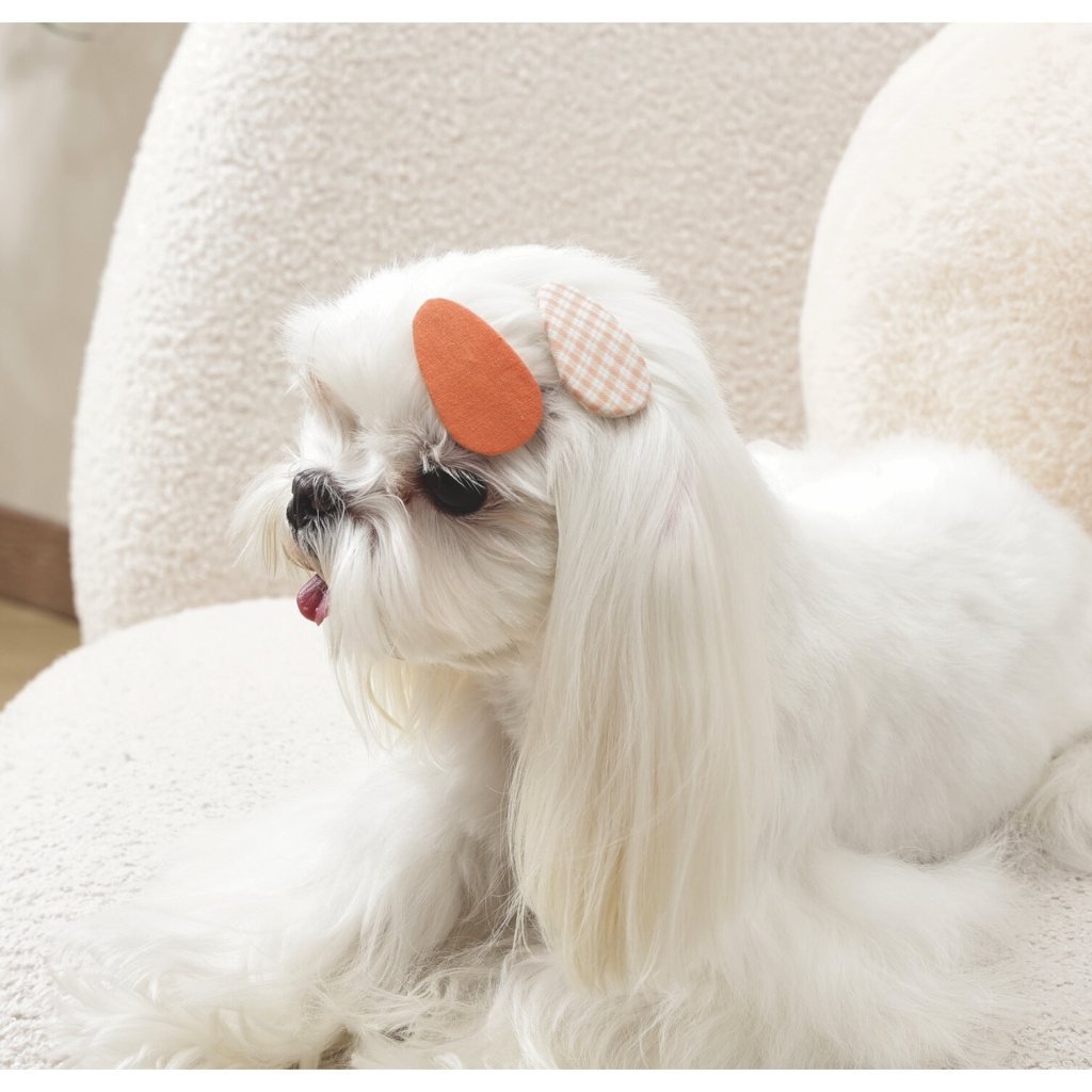 M-Pets Glam Desenli Kedi ve Köpekler için Toka (Turuncu)