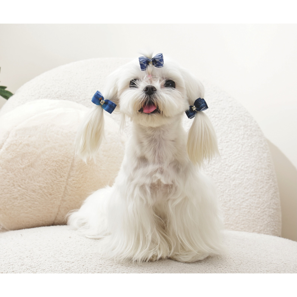 M-Pets Glam Fiyonklu Kedi ve Köpekler için Toka (Mavi)