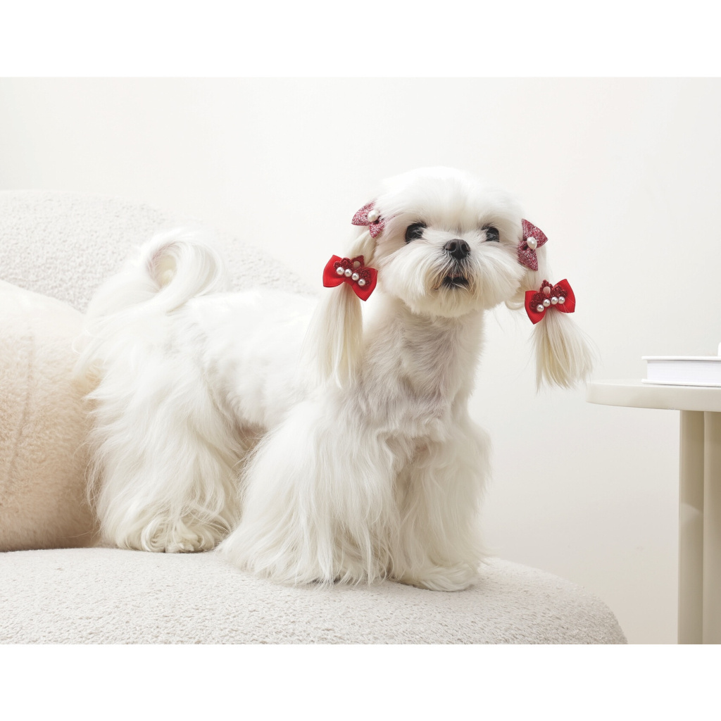 M-Pets Glam Fiyonklu Kedi ve Köpekler için Toka (4'lü) (Kırmızı)