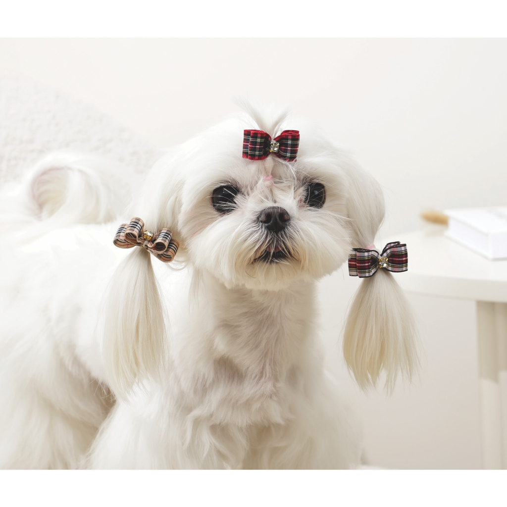 M-Pets Glam Fiyonk Detaylı Kedi ve Köpekler için Toka (Kırmızı)