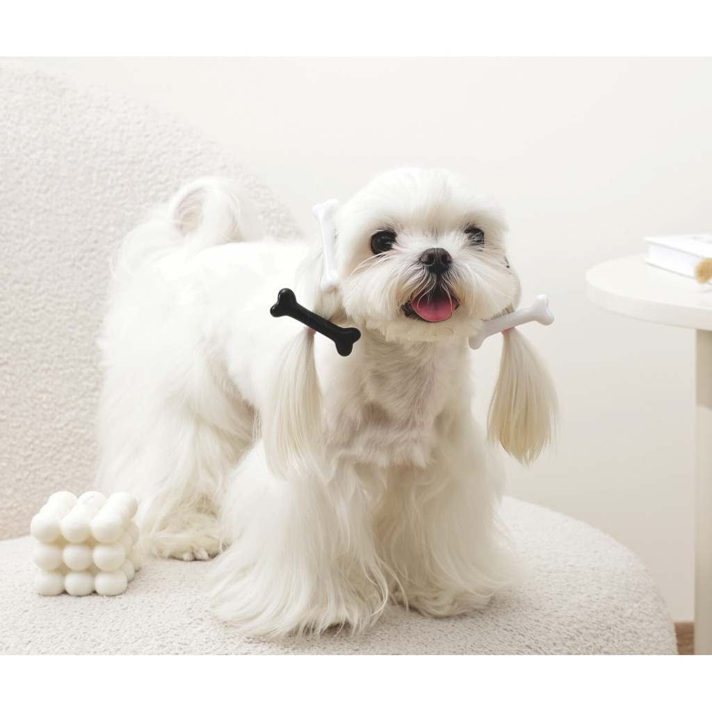 M-Pets Glam Kemikli Kedi ve Köpekler için Toka (Siyah - Beyaz)