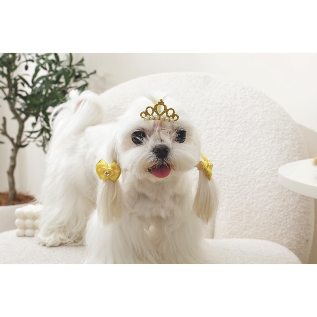 M-Pets Glam Fiyonklu Kedi ve Köpekler için Toka (Sarı)