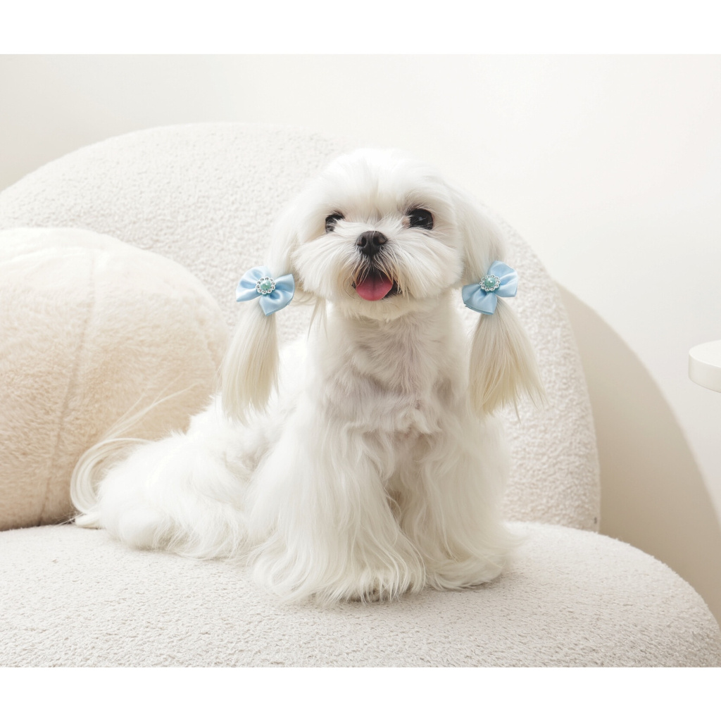 M-Pets Glam Fiyonklu Kedi ve Köpekler için Toka (Mavi)