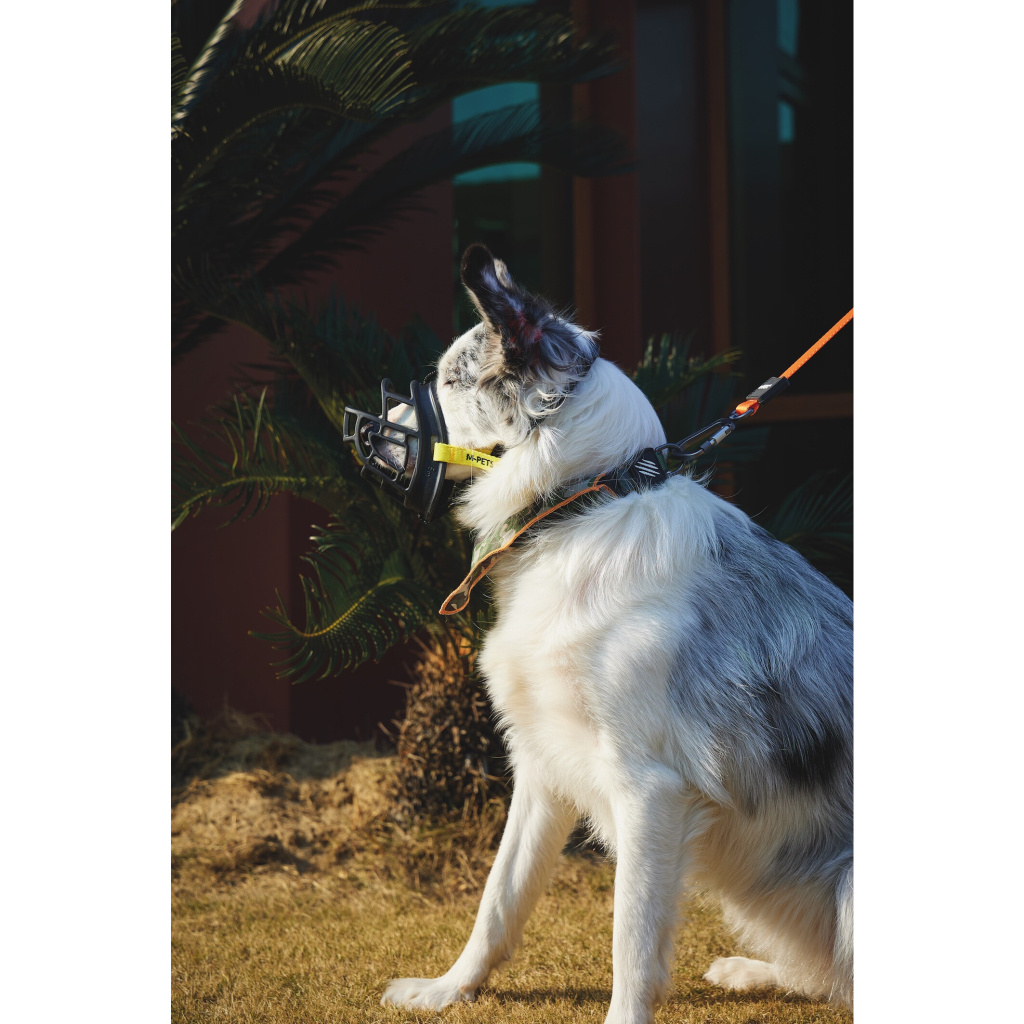 M-Pets Bark Guard Köpek Ağızlığı 19x14x9cm (Siyah) [L]