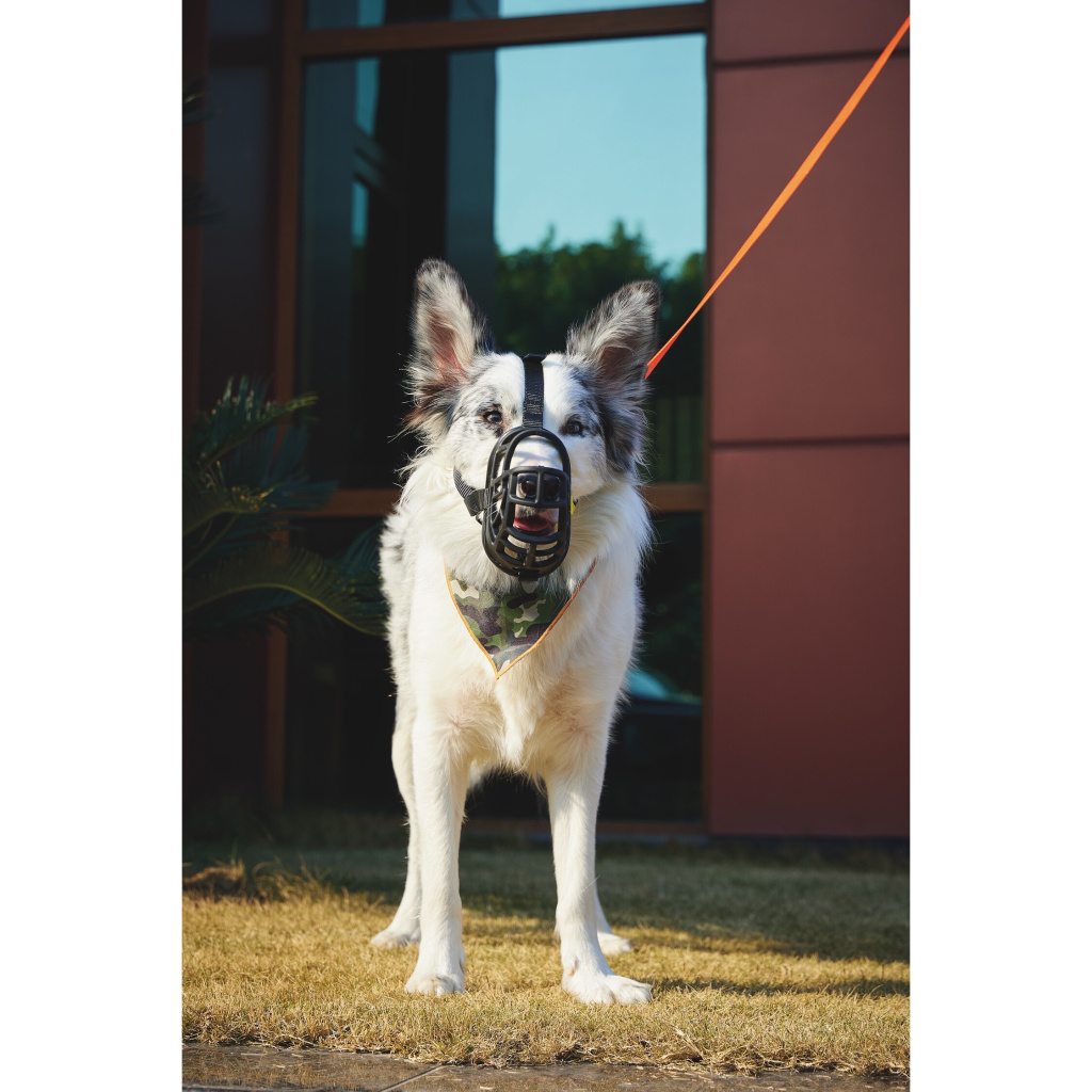 M-Pets Bark Guard Köpek Ağızlığı 19x14x9cm (Siyah) [L]