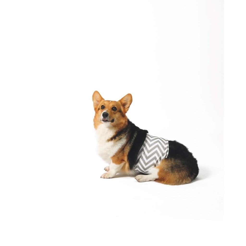 M-Pets Erkek Köpekler İçin Yıkanabilir Külot 50,8x63,5cm [L]